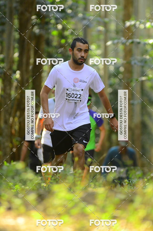 Buy your photos of the eventCORRIDA DOS EUCALIPTOS 2018 on Fotop