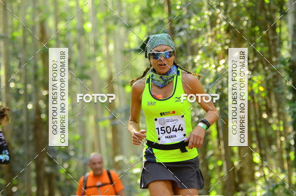 Buy your photos of the eventCORRIDA DOS EUCALIPTOS 2018 on Fotop
