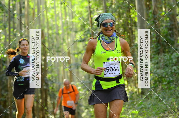 Buy your photos of the eventCORRIDA DOS EUCALIPTOS 2018 on Fotop