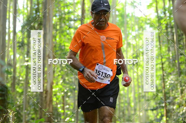 Buy your photos of the eventCORRIDA DOS EUCALIPTOS 2018 on Fotop