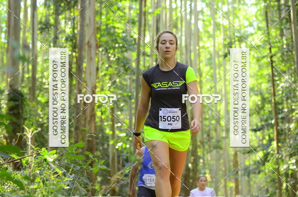 Buy your photos of the eventCORRIDA DOS EUCALIPTOS 2018 on Fotop
