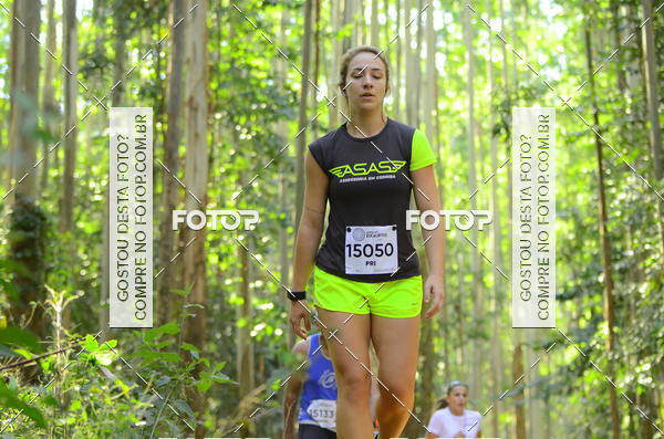 Buy your photos of the eventCORRIDA DOS EUCALIPTOS 2018 on Fotop