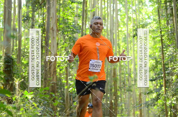 Buy your photos of the eventCORRIDA DOS EUCALIPTOS 2018 on Fotop