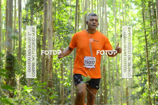 Buy your photos of the eventCORRIDA DOS EUCALIPTOS 2018 on Fotop