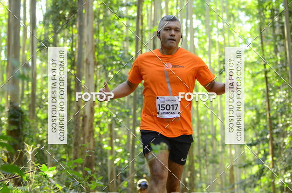 Buy your photos of the eventCORRIDA DOS EUCALIPTOS 2018 on Fotop