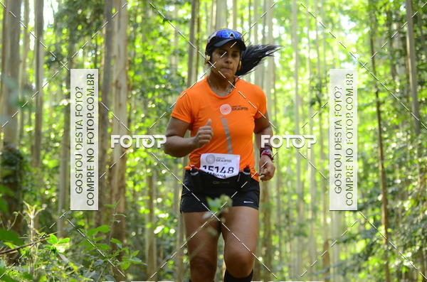 Buy your photos of the eventCORRIDA DOS EUCALIPTOS 2018 on Fotop