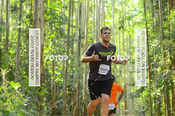 Buy your photos of the eventCORRIDA DOS EUCALIPTOS 2018 on Fotop