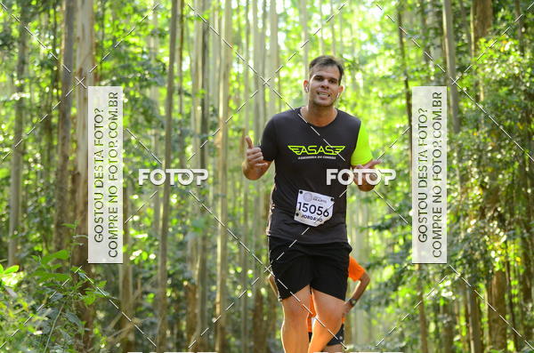 Buy your photos of the eventCORRIDA DOS EUCALIPTOS 2018 on Fotop