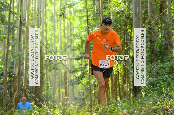 Buy your photos of the eventCORRIDA DOS EUCALIPTOS 2018 on Fotop