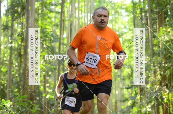 Buy your photos of the eventCORRIDA DOS EUCALIPTOS 2018 on Fotop