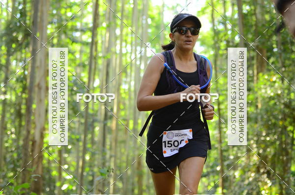 Buy your photos of the eventCORRIDA DOS EUCALIPTOS 2018 on Fotop