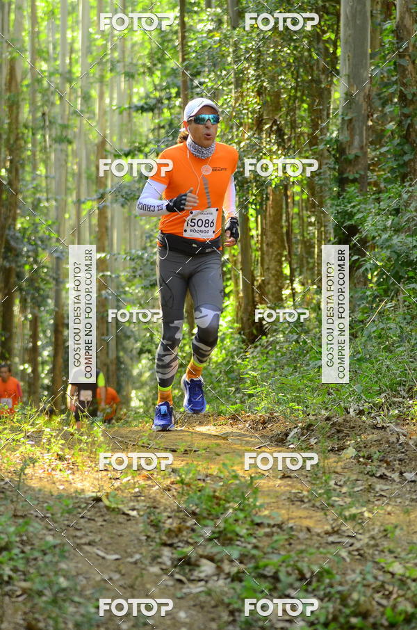 Buy your photos of the eventCORRIDA DOS EUCALIPTOS 2018 on Fotop