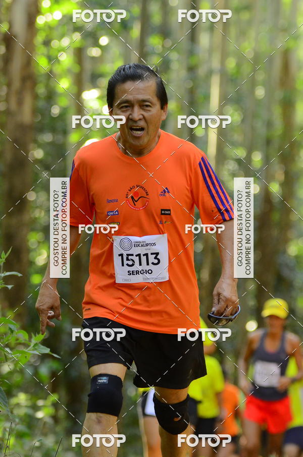 Buy your photos of the eventCORRIDA DOS EUCALIPTOS 2018 on Fotop