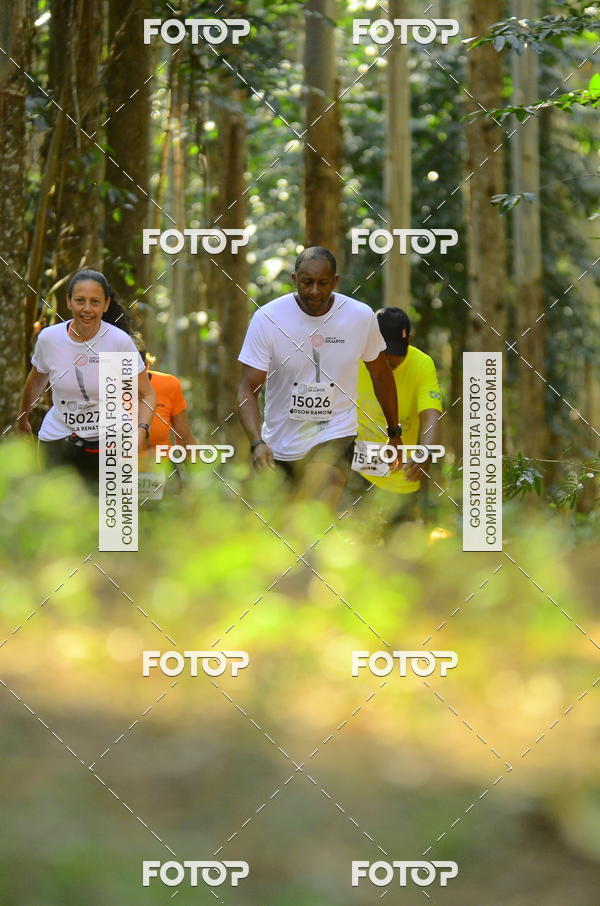 Buy your photos of the eventCORRIDA DOS EUCALIPTOS 2018 on Fotop