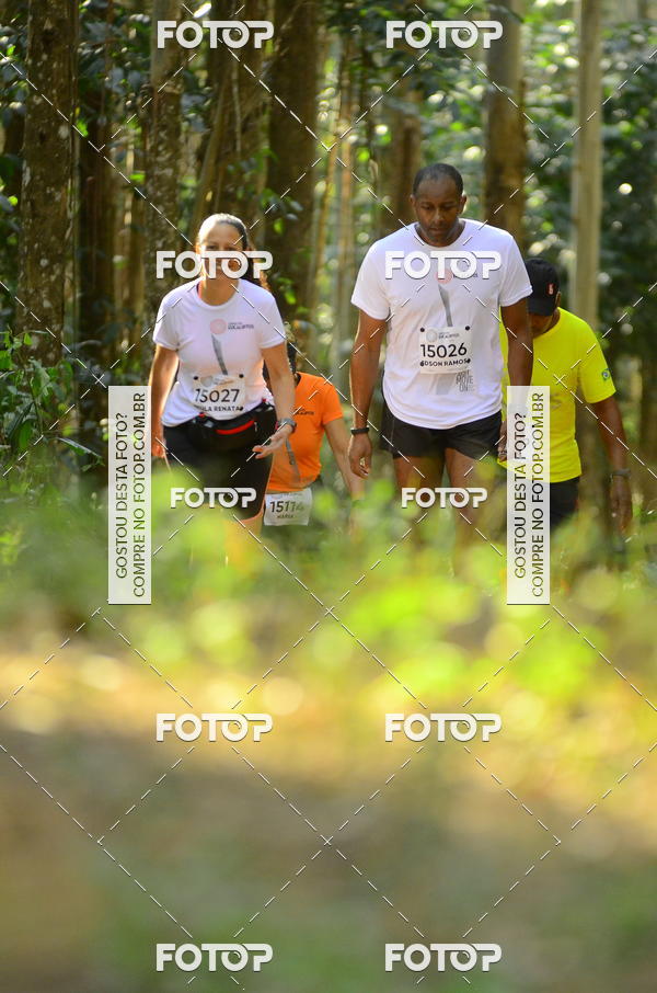 Buy your photos of the eventCORRIDA DOS EUCALIPTOS 2018 on Fotop