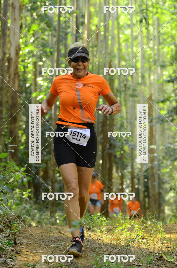 Buy your photos of the eventCORRIDA DOS EUCALIPTOS 2018 on Fotop