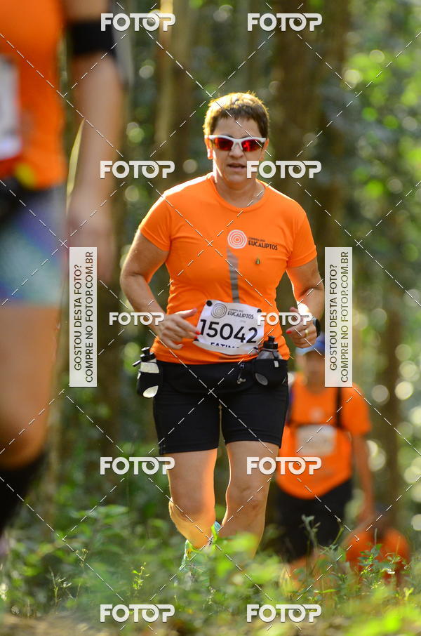 Buy your photos of the eventCORRIDA DOS EUCALIPTOS 2018 on Fotop