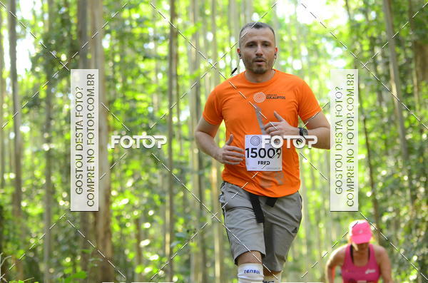 Buy your photos of the eventCORRIDA DOS EUCALIPTOS 2018 on Fotop