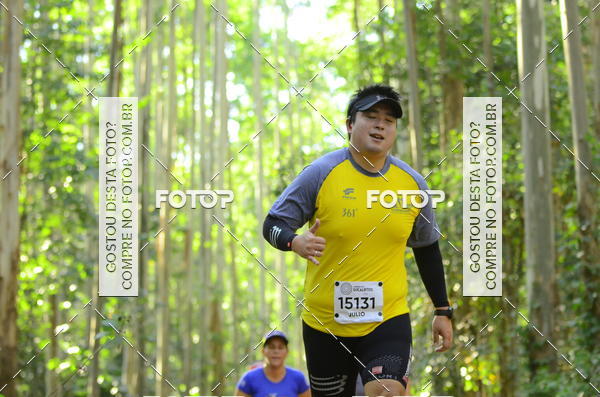 Buy your photos of the eventCORRIDA DOS EUCALIPTOS 2018 on Fotop