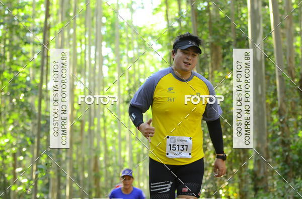 Buy your photos of the eventCORRIDA DOS EUCALIPTOS 2018 on Fotop