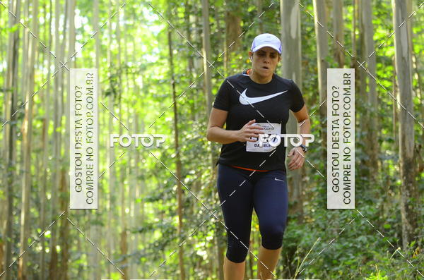 Buy your photos of the eventCORRIDA DOS EUCALIPTOS 2018 on Fotop