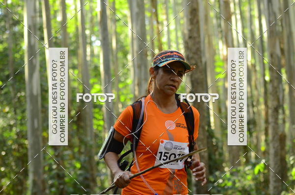 Buy your photos of the eventCORRIDA DOS EUCALIPTOS 2018 on Fotop