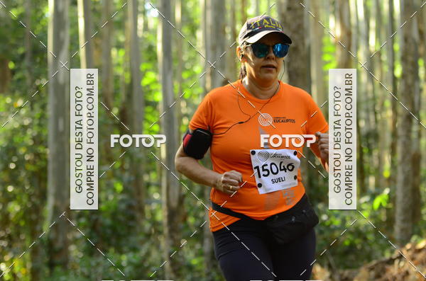 Buy your photos of the eventCORRIDA DOS EUCALIPTOS 2018 on Fotop