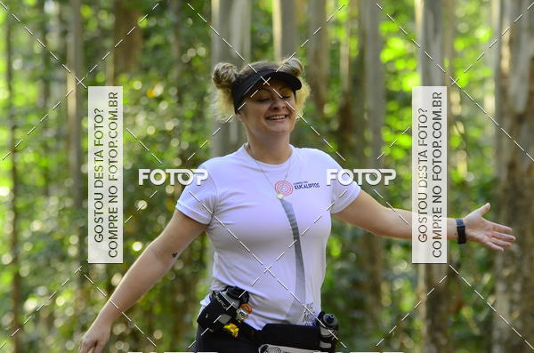 Buy your photos of the eventCORRIDA DOS EUCALIPTOS 2018 on Fotop