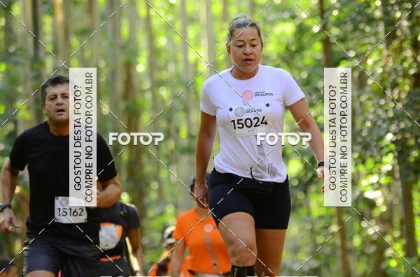 Buy your photos of the eventCORRIDA DOS EUCALIPTOS 2018 on Fotop