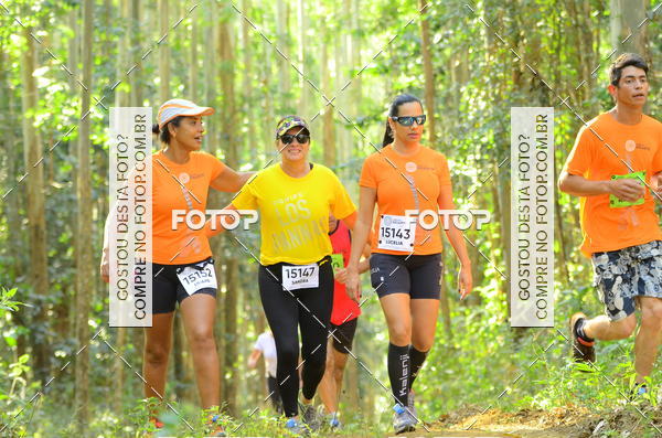 Buy your photos of the eventCORRIDA DOS EUCALIPTOS 2018 on Fotop