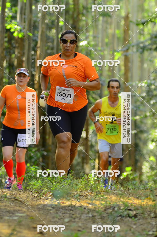 Buy your photos of the eventCORRIDA DOS EUCALIPTOS 2018 on Fotop