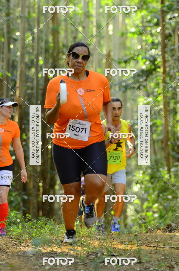 Buy your photos of the eventCORRIDA DOS EUCALIPTOS 2018 on Fotop