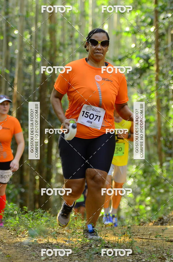 Buy your photos of the eventCORRIDA DOS EUCALIPTOS 2018 on Fotop