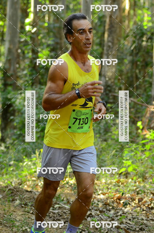 Buy your photos of the eventCORRIDA DOS EUCALIPTOS 2018 on Fotop