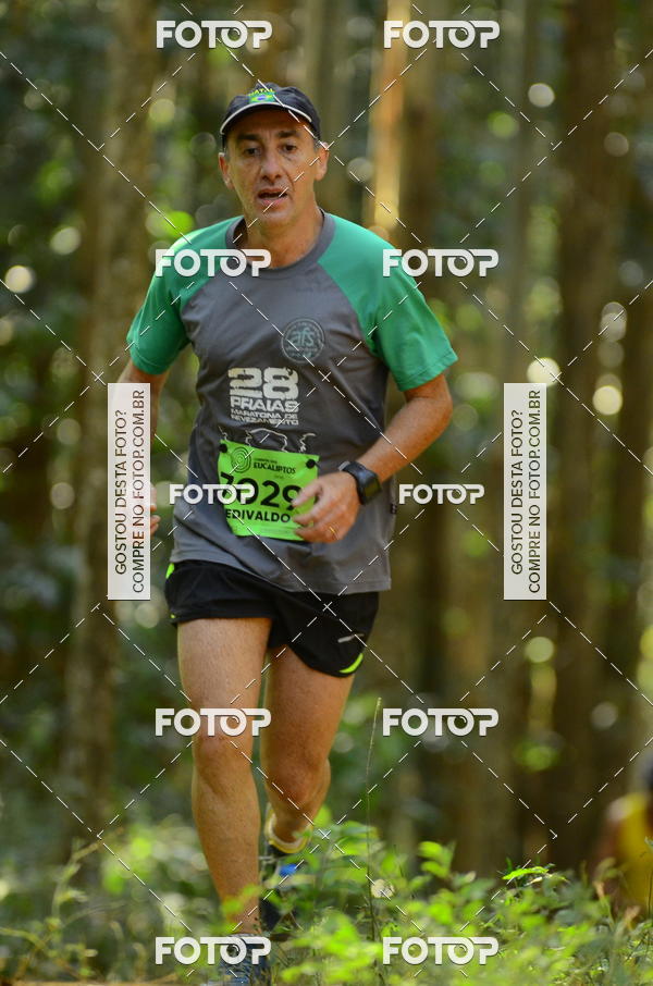 Buy your photos of the eventCORRIDA DOS EUCALIPTOS 2018 on Fotop