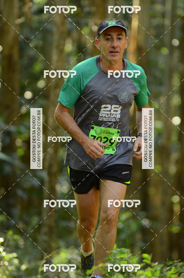 Buy your photos of the eventCORRIDA DOS EUCALIPTOS 2018 on Fotop