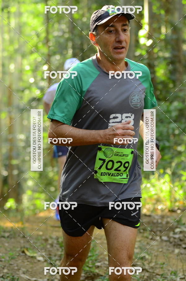 Buy your photos of the eventCORRIDA DOS EUCALIPTOS 2018 on Fotop