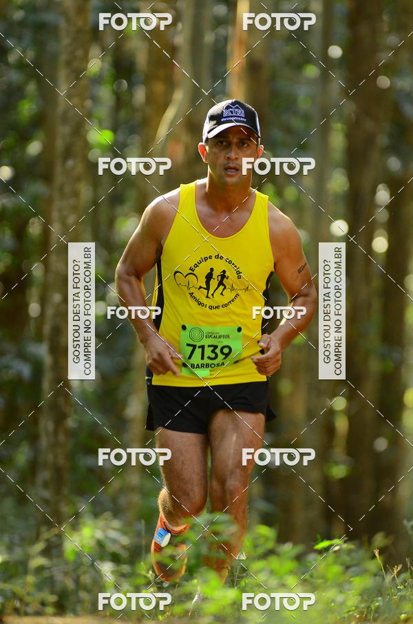 Buy your photos of the eventCORRIDA DOS EUCALIPTOS 2018 on Fotop