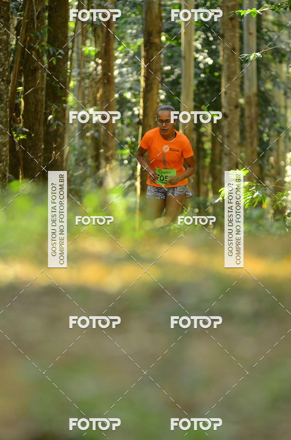 Buy your photos of the eventCORRIDA DOS EUCALIPTOS 2018 on Fotop