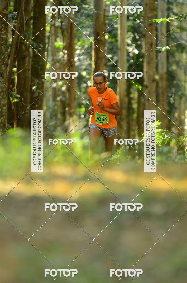 Buy your photos of the eventCORRIDA DOS EUCALIPTOS 2018 on Fotop