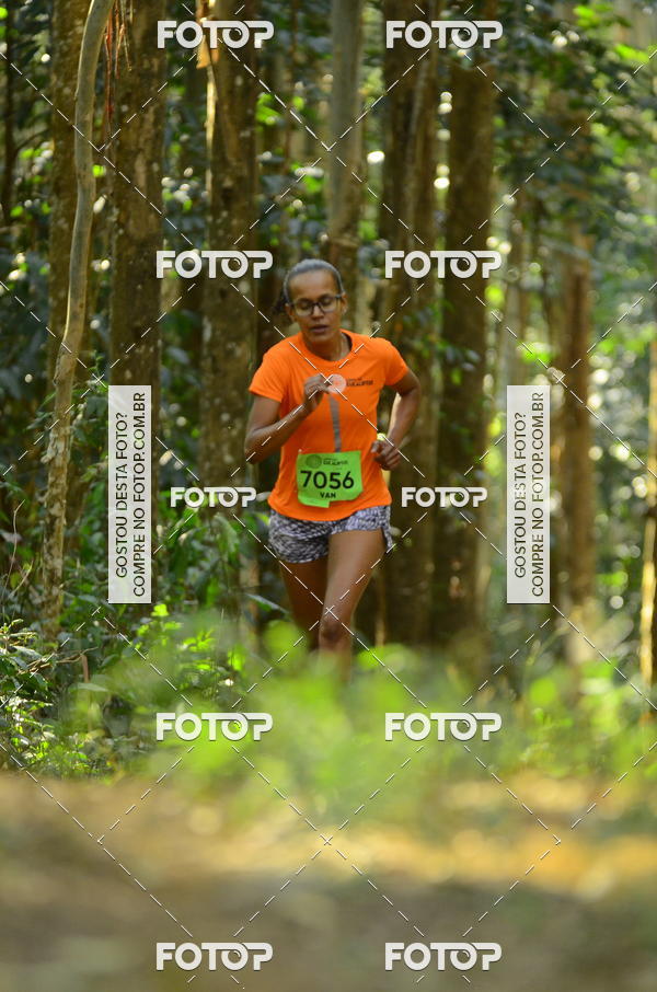 Buy your photos of the eventCORRIDA DOS EUCALIPTOS 2018 on Fotop