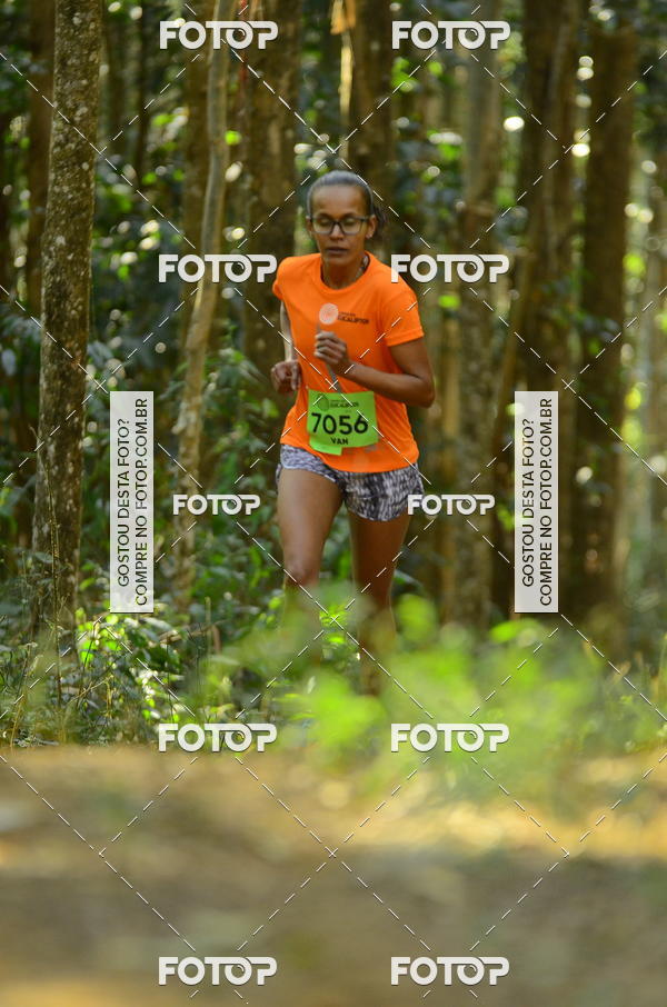 Buy your photos of the eventCORRIDA DOS EUCALIPTOS 2018 on Fotop