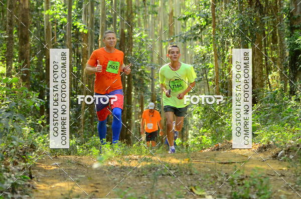 Buy your photos of the eventCORRIDA DOS EUCALIPTOS 2018 on Fotop