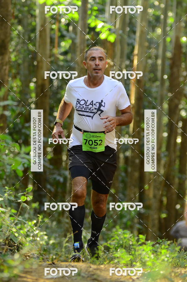 Buy your photos of the eventCORRIDA DOS EUCALIPTOS 2018 on Fotop