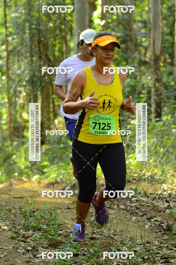 Buy your photos of the eventCORRIDA DOS EUCALIPTOS 2018 on Fotop