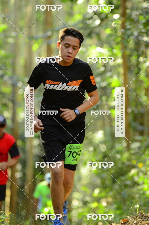 Buy your photos of the eventCORRIDA DOS EUCALIPTOS 2018 on Fotop