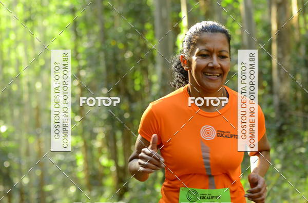 Buy your photos of the eventCORRIDA DOS EUCALIPTOS 2018 on Fotop