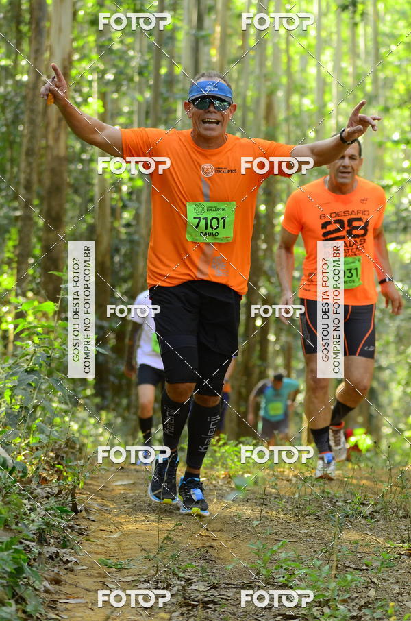 Buy your photos of the eventCORRIDA DOS EUCALIPTOS 2018 on Fotop