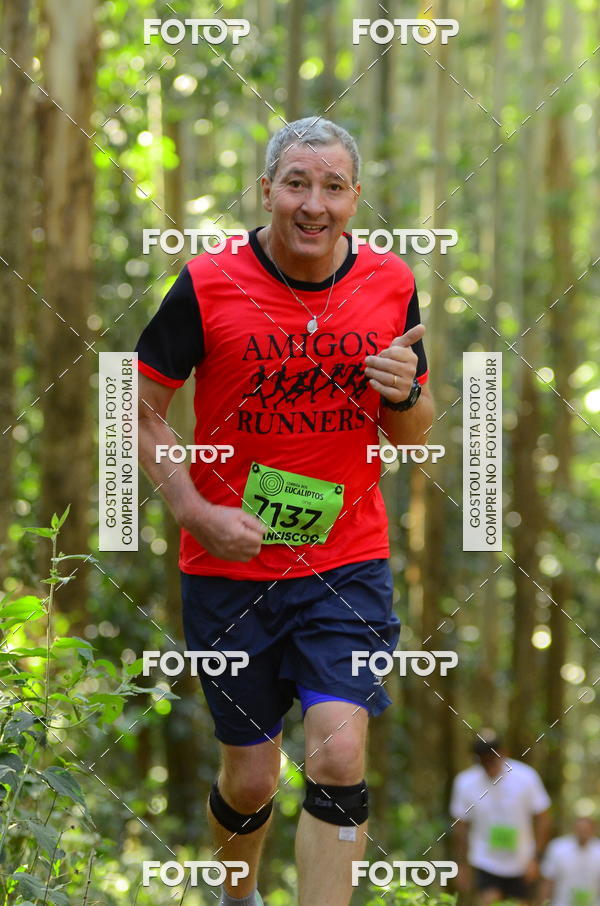 Buy your photos of the eventCORRIDA DOS EUCALIPTOS 2018 on Fotop