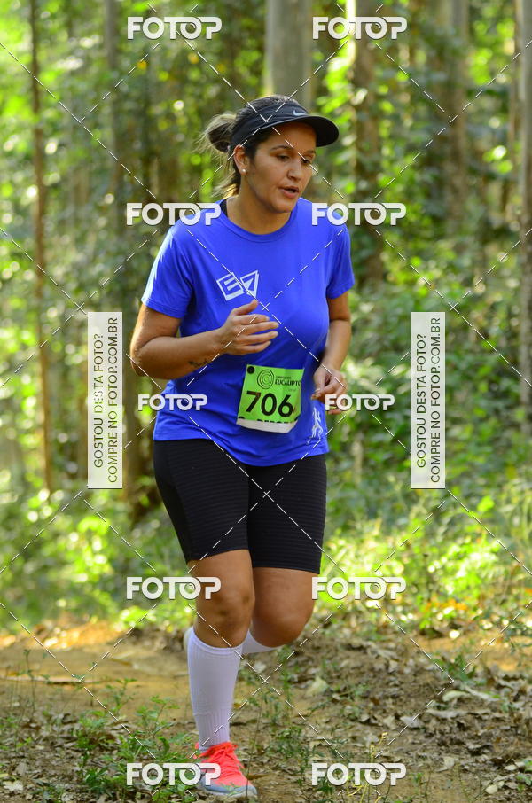 Buy your photos of the eventCORRIDA DOS EUCALIPTOS 2018 on Fotop